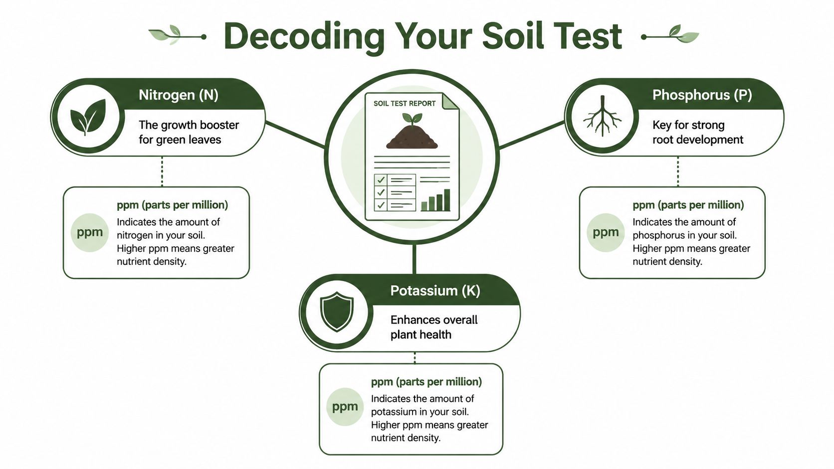 An infographic titled Decoding Your Soil Test explaining the importance of Nitrogen, Phosphorus, and Potassium for plants.